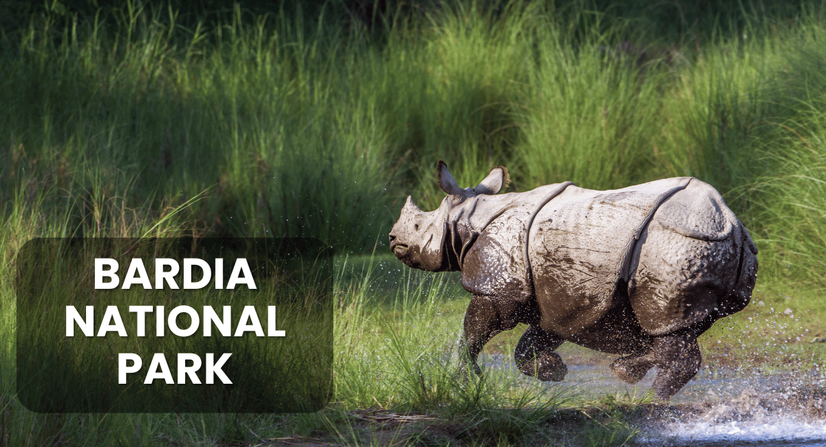 Bardia National Park, located in the Terai region of Nepal, is a hidden gem for wildlife enthusiasts and nature lovers