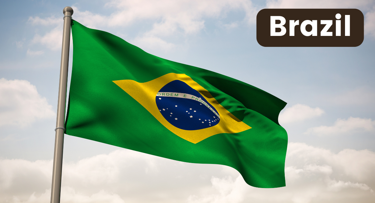 Brazil's flag is a vibrant representation of the country's rich culture and natural beauty.