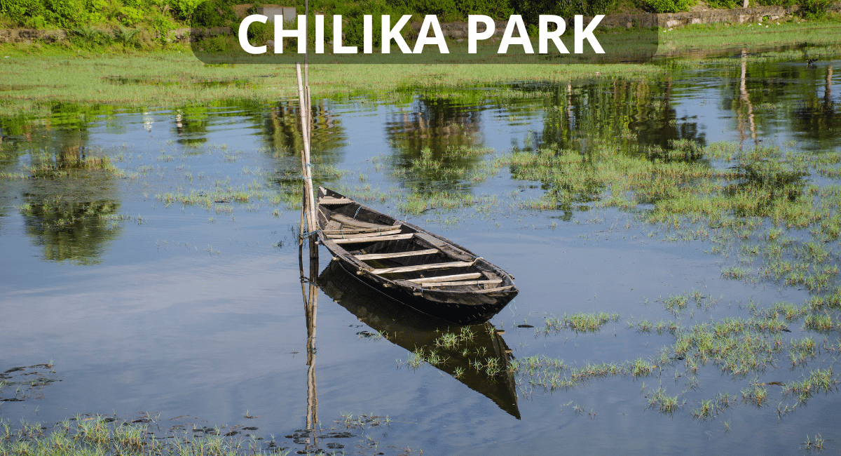 Boat in Chilika Park, located along the eastern coast of India in Odisha