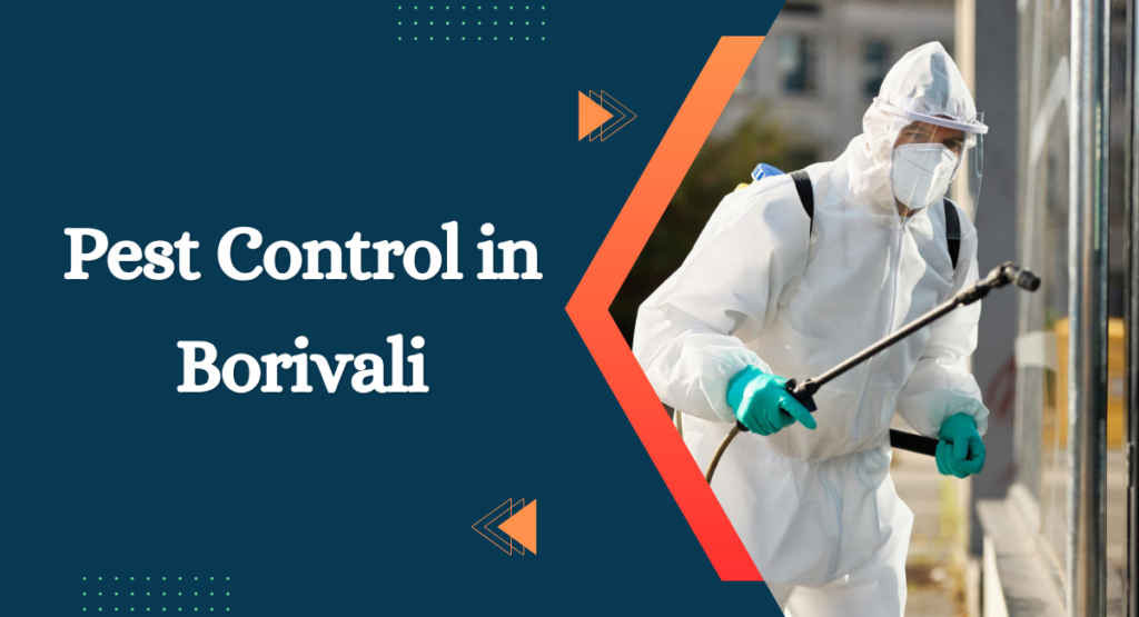 Pest Control in Borivali