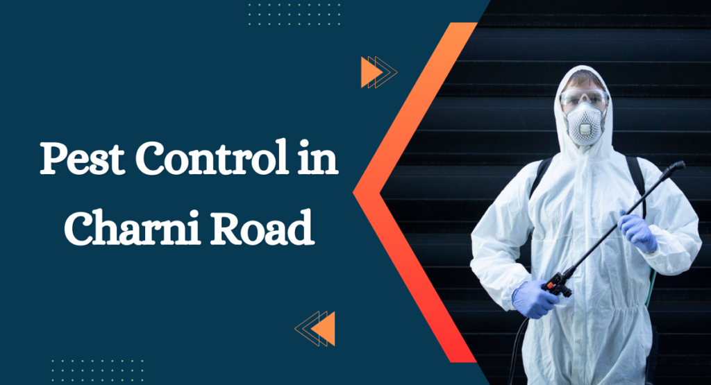 Pest Control in Charni Road