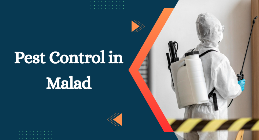 Pest Control in Malad