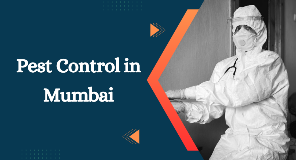 Pest Control in Mumbai