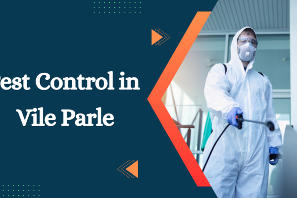 Pest Control in Vile Parle Pest Control in Vile Parle