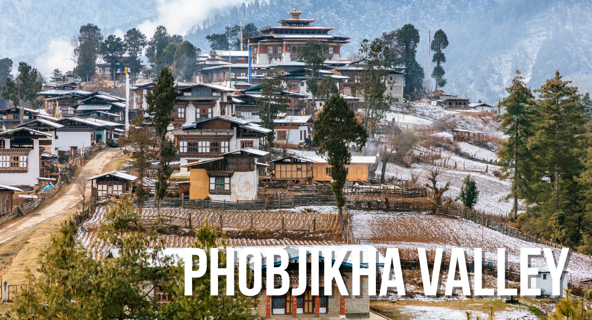 Phobjikha Valley, also known as Gangtey Valley, is a stunning glacial valley renowned for its pristine beauty