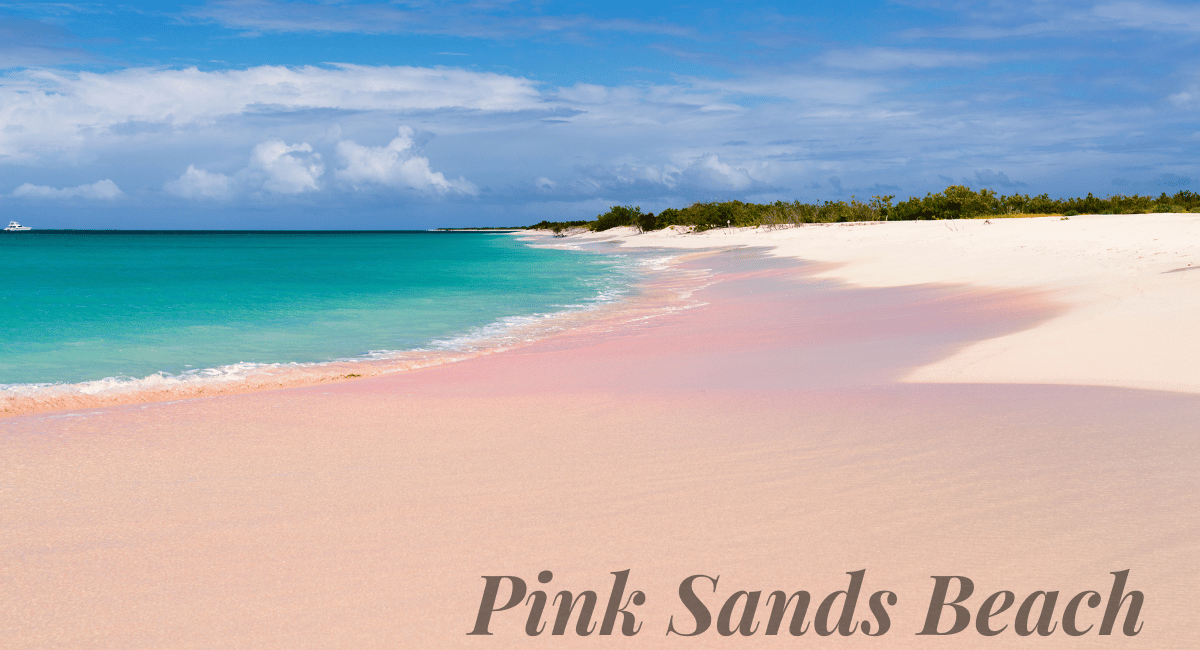 Pink Sands Beach, located on Harbour Island in the Bahamas