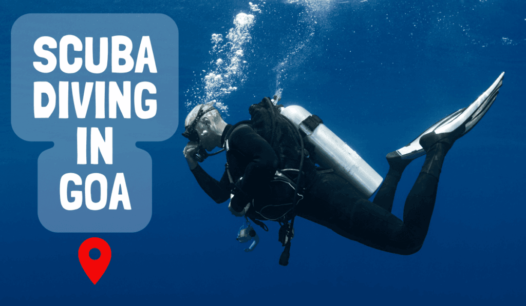 Scuba Diving In Goa , Diver In Sea