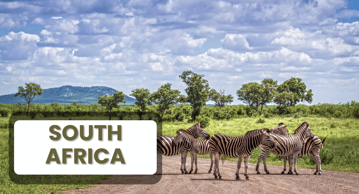 South Africa is a country of extraordinary beauty, offering a diverse range of landscapes that captivate the imagination