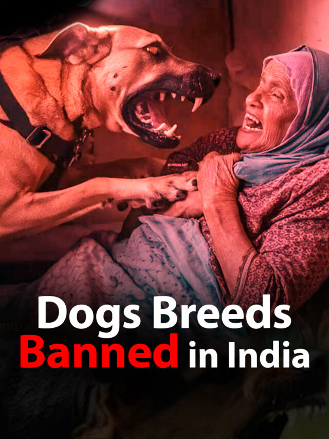 10 Most Dangerous Dog Breeds Banned in India